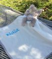 Doudou Ours Câlin