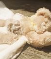 Doudou Ours Câlin