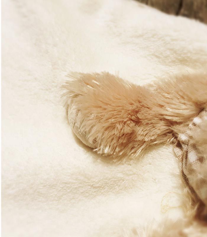 Doudou Ours Câlin