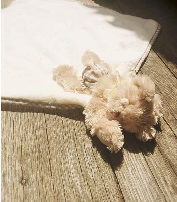 Doudou Ours Câlin