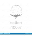 Peignoir Extra Moelleux- 500 g/m² - 100 % coton