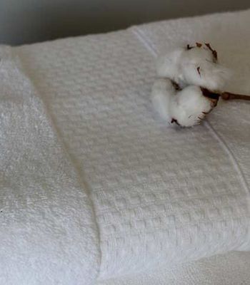 Gant de toilette Basic Hôtel 100% coton 500g/m²