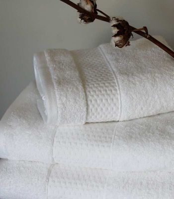 Ligne Basic Hôtel 100%coton 500gr/m²