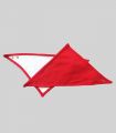 Bavoir bandana rouge