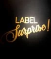 Label-Surprise Black Box